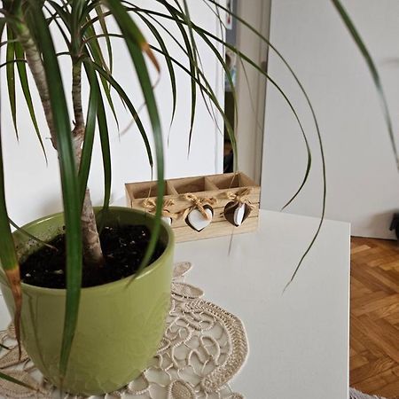 Cosy Apartment In The Heart Of Скоп'є Екстер'єр фото