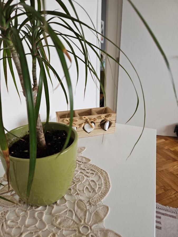 Cosy Apartment In The Heart Of Скоп'є Екстер'єр фото